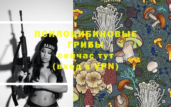бутират Алзамай