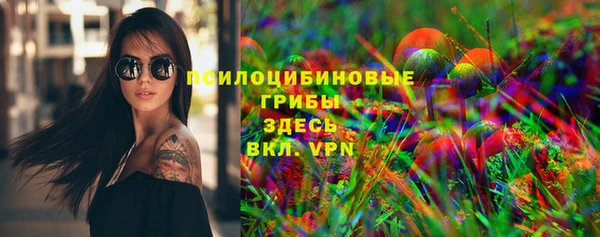 соль ск Рославль