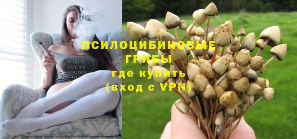 амф Алексеевка