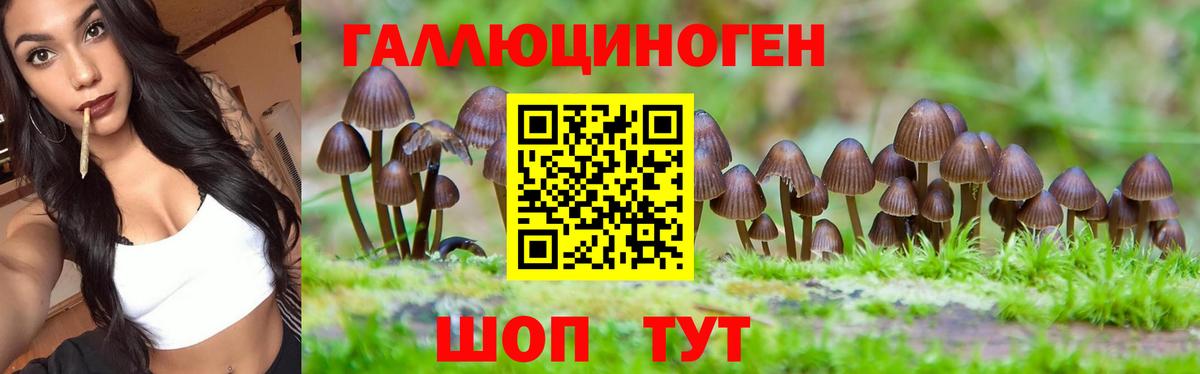 Амурск  Псилоцибиновые грибы прущие грибы  Вход с VPN 